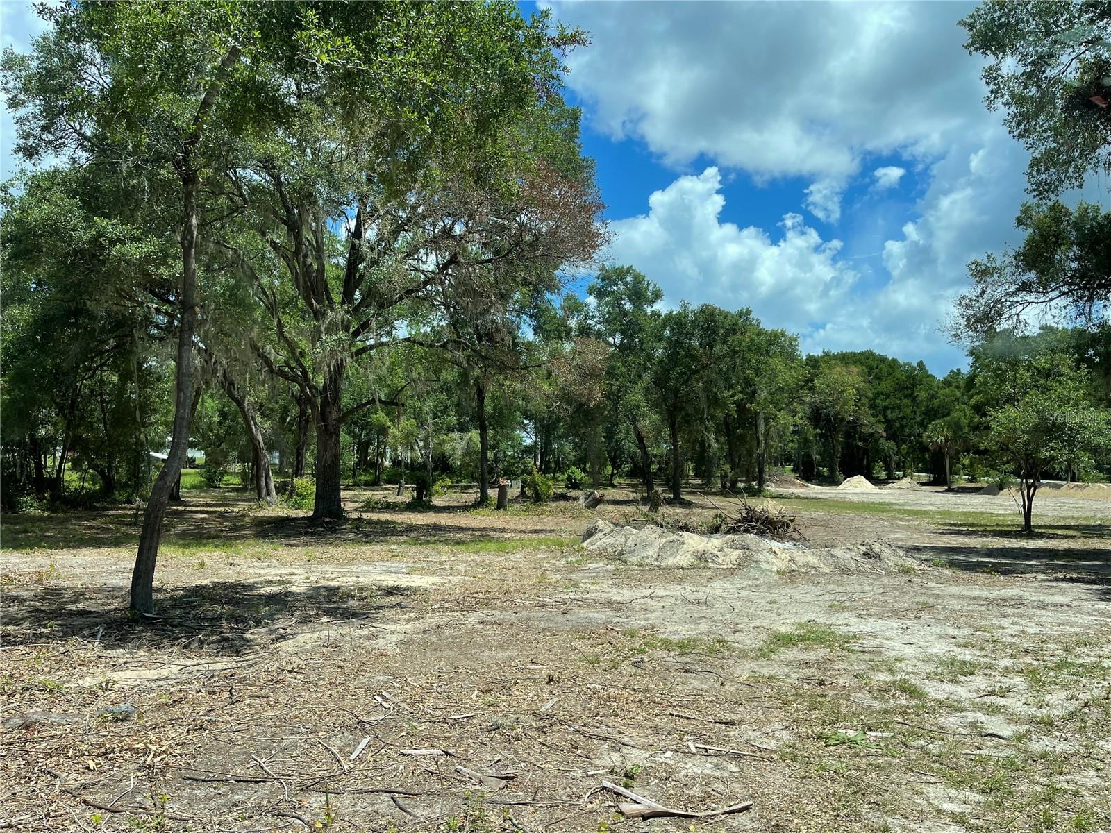 155th St, Summerfield, FL 34491