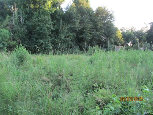 11430 Bayside Dr, Frankston, TX, 75763 | Card Image