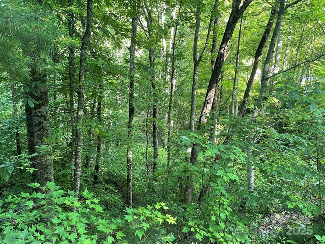 2600 Canada Rd, Home with 0 bedrooms, 0 bathrooms and null parking in Tuckasegee NC | Image 6