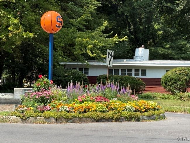 Let's Go Orange! | Image 46