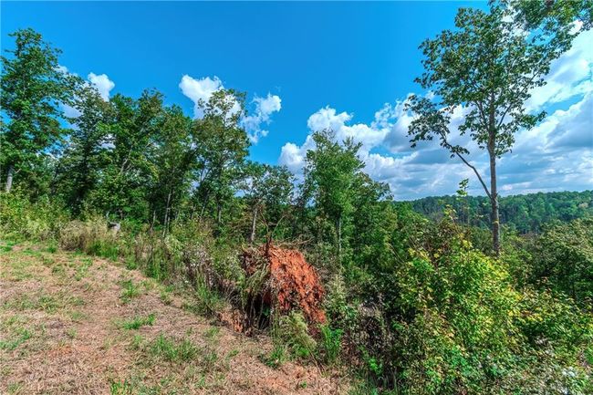 50 Jakes Landing Way S, Home with 0 bedrooms, 0 bathrooms and null parking in Ellijay GA | Image 24