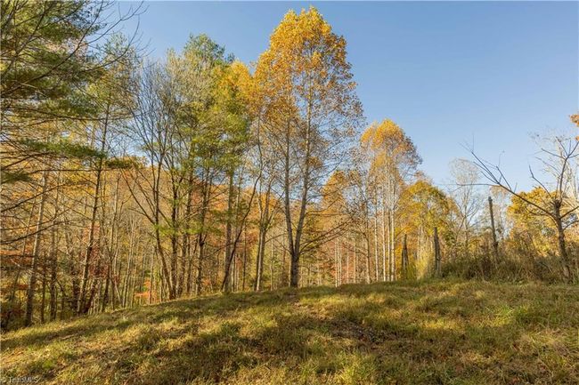 0 Laurel Creek Rd Ne, Home with 0 bedrooms, 0 bathrooms and null parking in Pilot VA | Image 9