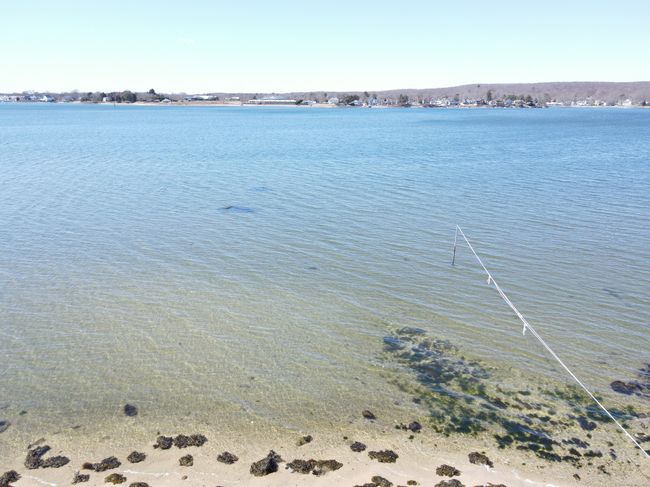 101 Niantic River Rd, House other with 4 bedrooms, 2 bathrooms and 3 parking in Waterford CT | Image 4
