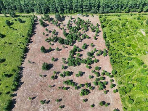 000 Hattie Ln, Ward, AR, 72176 | Card Image