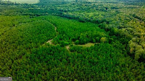 0 Les Smith Rd, Ellaville, GA, 31806 | Card Image