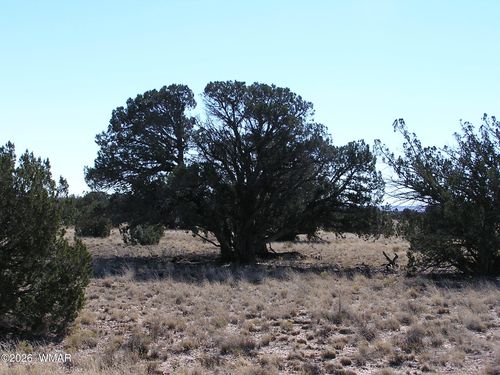 9 N9131, Concho, AZ, 85924 | Card Image