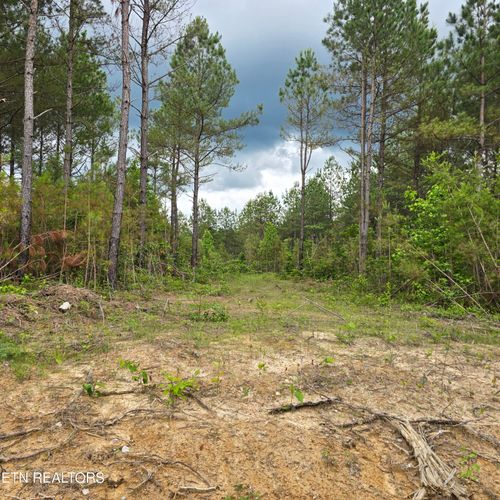 10 Holly Woods, Robbins, TN, 37852 | Card Image