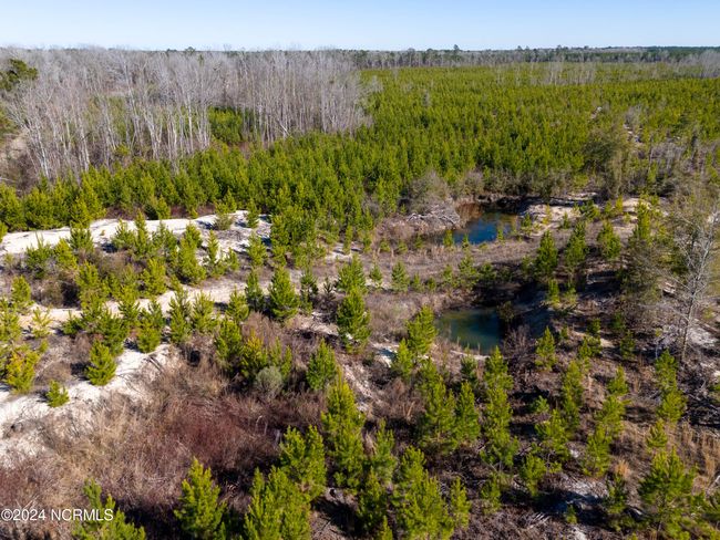 00 Sykes Town Rd, Home with 0 bedrooms, 0 bathrooms and null parking in Currie NC | Image 22