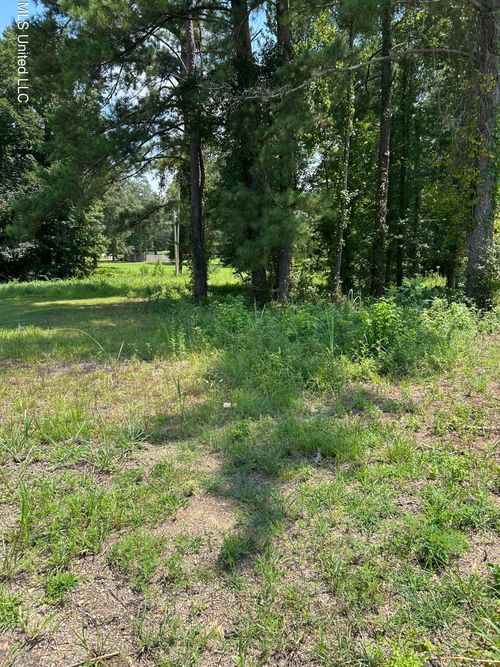 0 Faulkner Cv E, Terry, MS, 39170 | Card Image