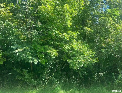 10 Summit Dr, Mackinaw, IL, 61755-9517 | Card Image