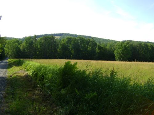 0 Miller Pond Rd, Strafford, VT, 05072 | Card Image