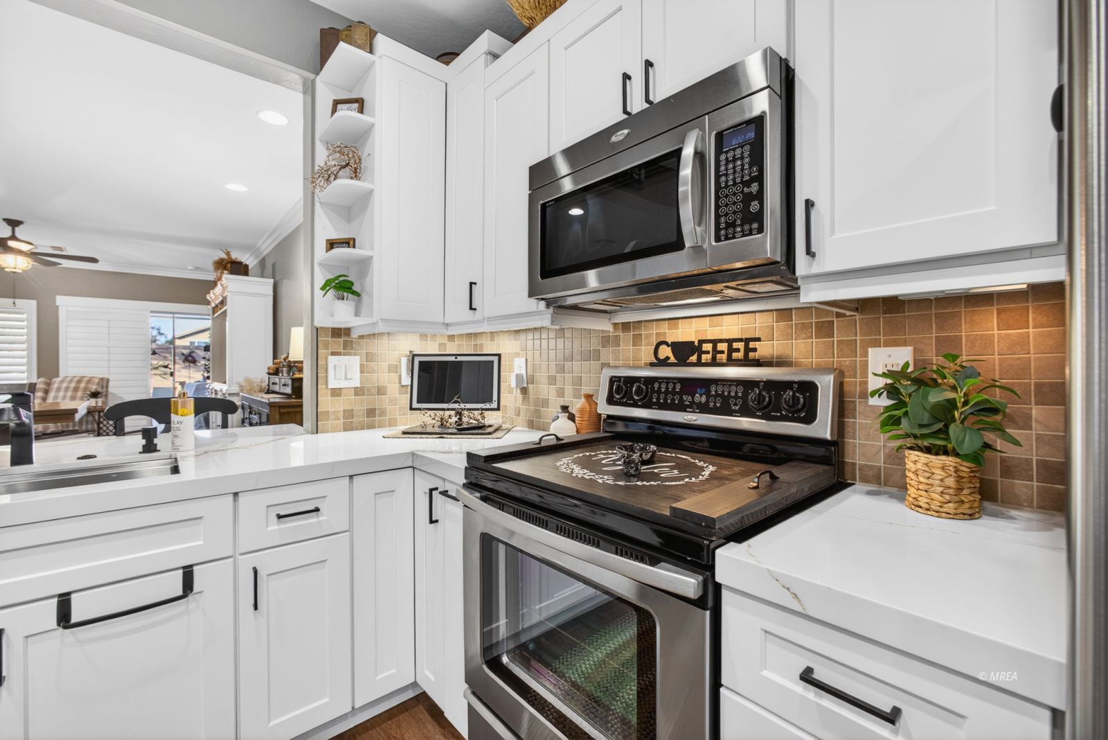 Residential in Mesquite 2