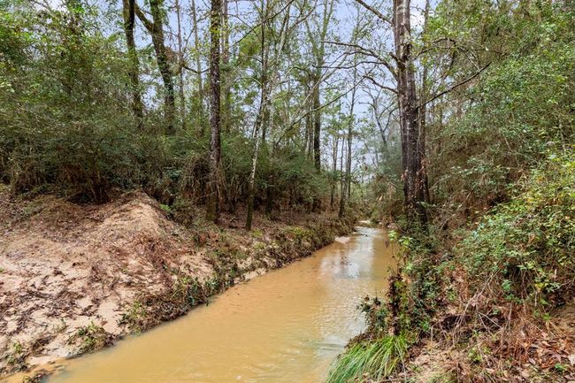The live creek near the back of the property flows with water seasonally each year. It is a must to explore the property on its private nature trails and see every inch of this 15+ acre wonderland. | Image 49