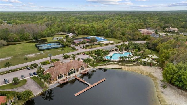 10880 Cory Lake Dr, House other with 3 bedrooms, 2 bathrooms and null parking in TAMPA FL | Image 56