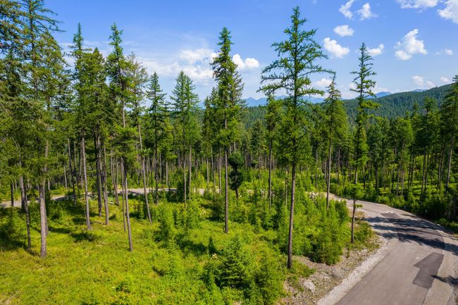 664 Saddlehorn Trl, Home with 0 bedrooms, 0 bathrooms and null parking in Bigfork MT | Image 32