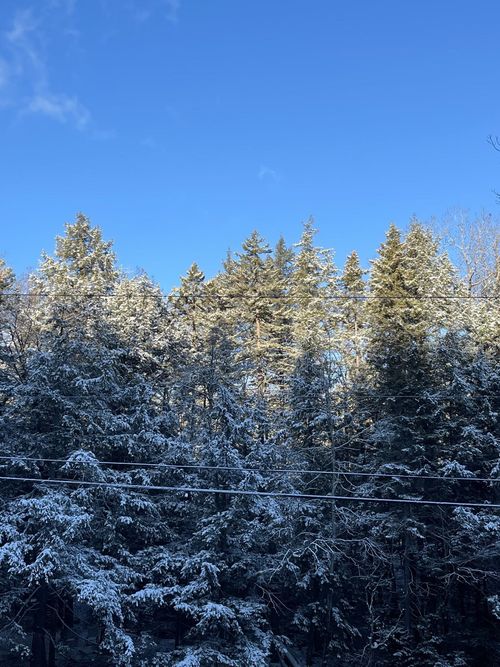 997 Stratton Arlington Rd, Stratton, VT, 05360 | Card Image