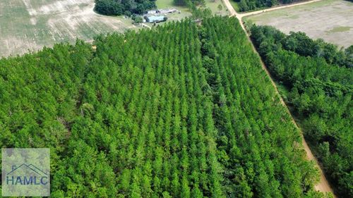 Tract 4 Al Reeves Rd, Fitzgerald, GA, 31750 | Card Image