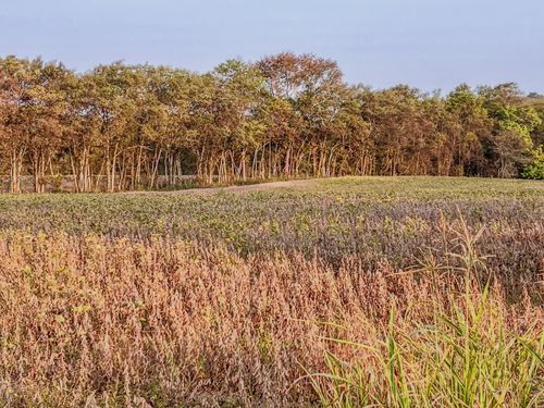 3 Mcburg Dellrose Rd, Dellrose, TN, 38453 | Card Image