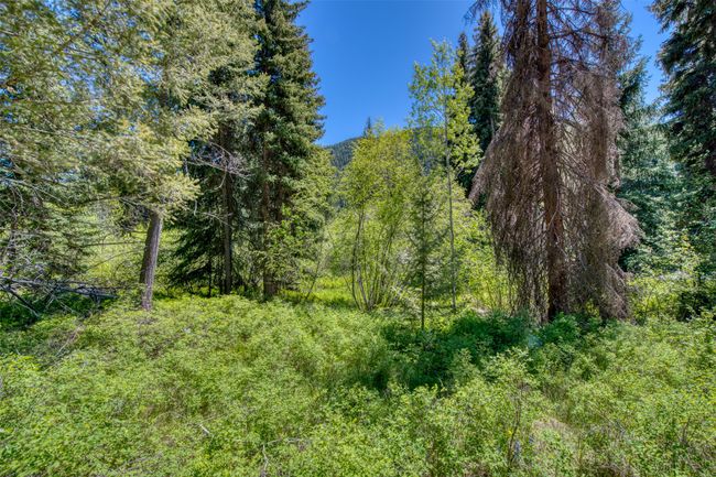 1795 E Fork Rd, House other with 2 bedrooms, 2 bathrooms and null parking in Sula MT | Image 44