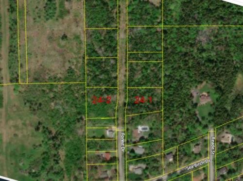 24-2 Forest Dr, Pictou, NS, B0K1H0 | Card Image