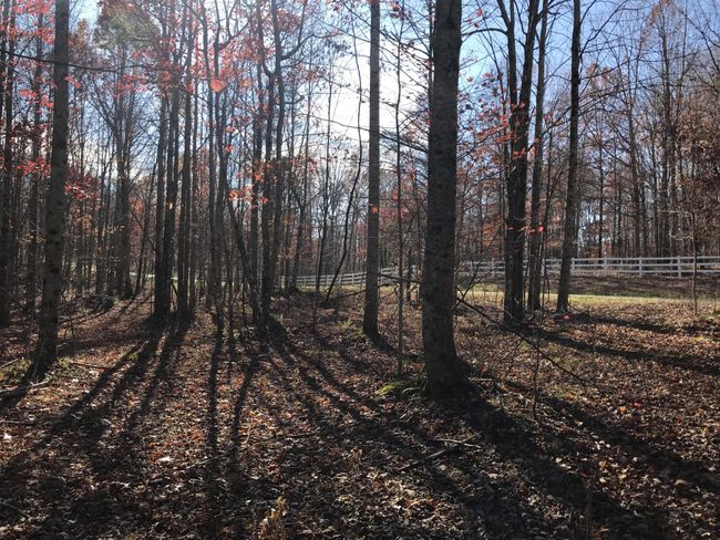 6 Hobbstown Rd, Home with 0 bedrooms, 0 bathrooms and null parking in Dunlap TN | Image 14