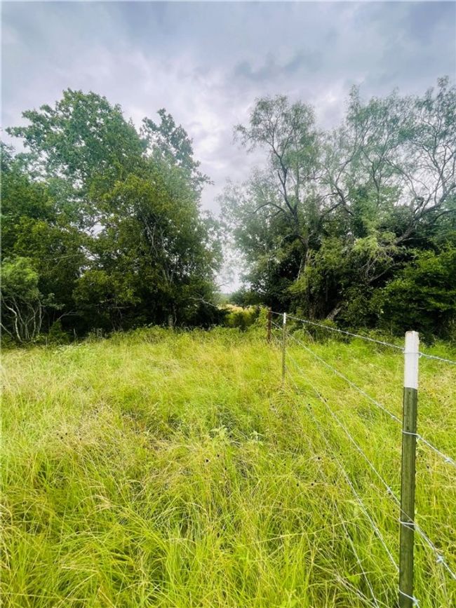 8409 S Hickory Loop, Home with 0 bedrooms, 0 bathrooms and null parking in Calvert TX | Image 18