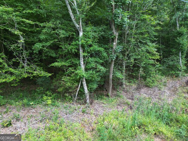 TRACT 2 Harbert Valley Rd, Home with 0 bedrooms, 0 bathrooms and null parking in Toccoa GA | Image 11