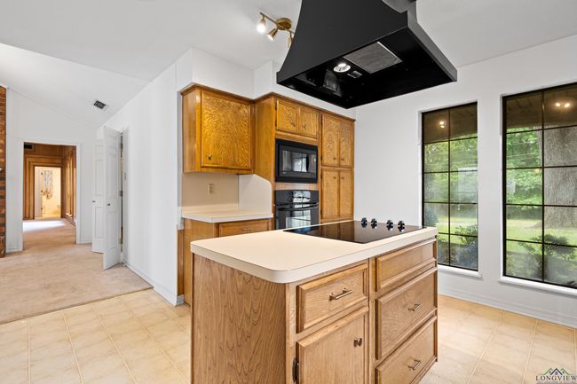 1307 Spring Tree Ln, House other with 3 bedrooms, 3 bathrooms and null parking in Kilgore TX | Image 14