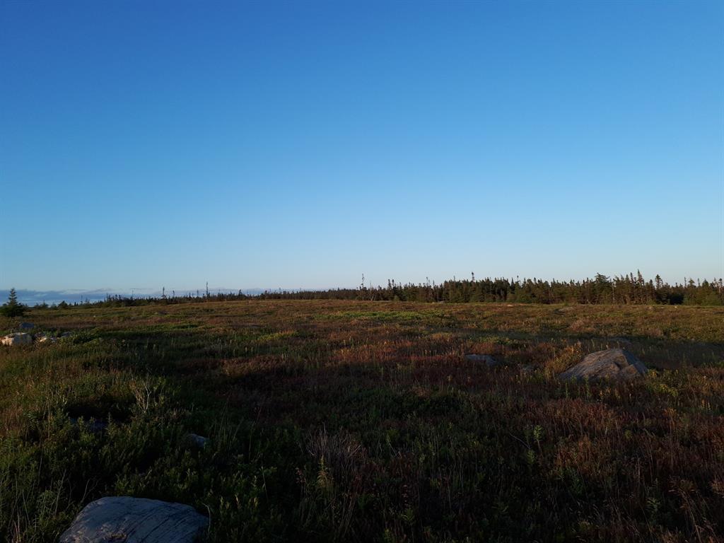 Commercial Sale in Whitbourne 3