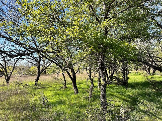 Lot 13 Cr 127, Home with 0 bedrooms, 0 bathrooms and null parking in Carlton TX | Image 29