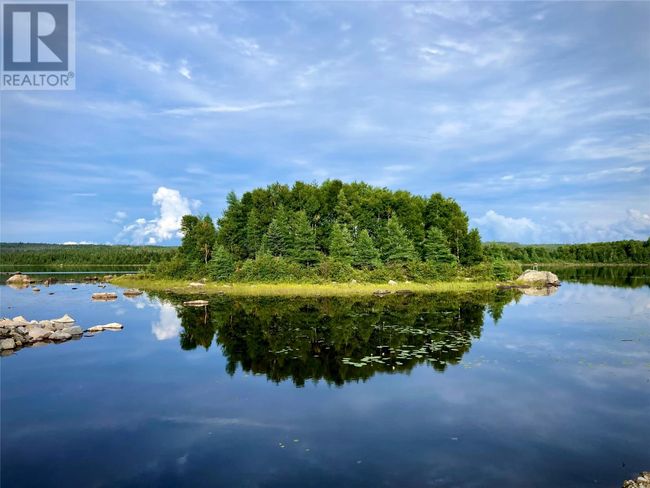 15 Paul's Lake Sideroad, Home with 3 bedrooms, 2 bathrooms and null parking in Badger NL | Image 40