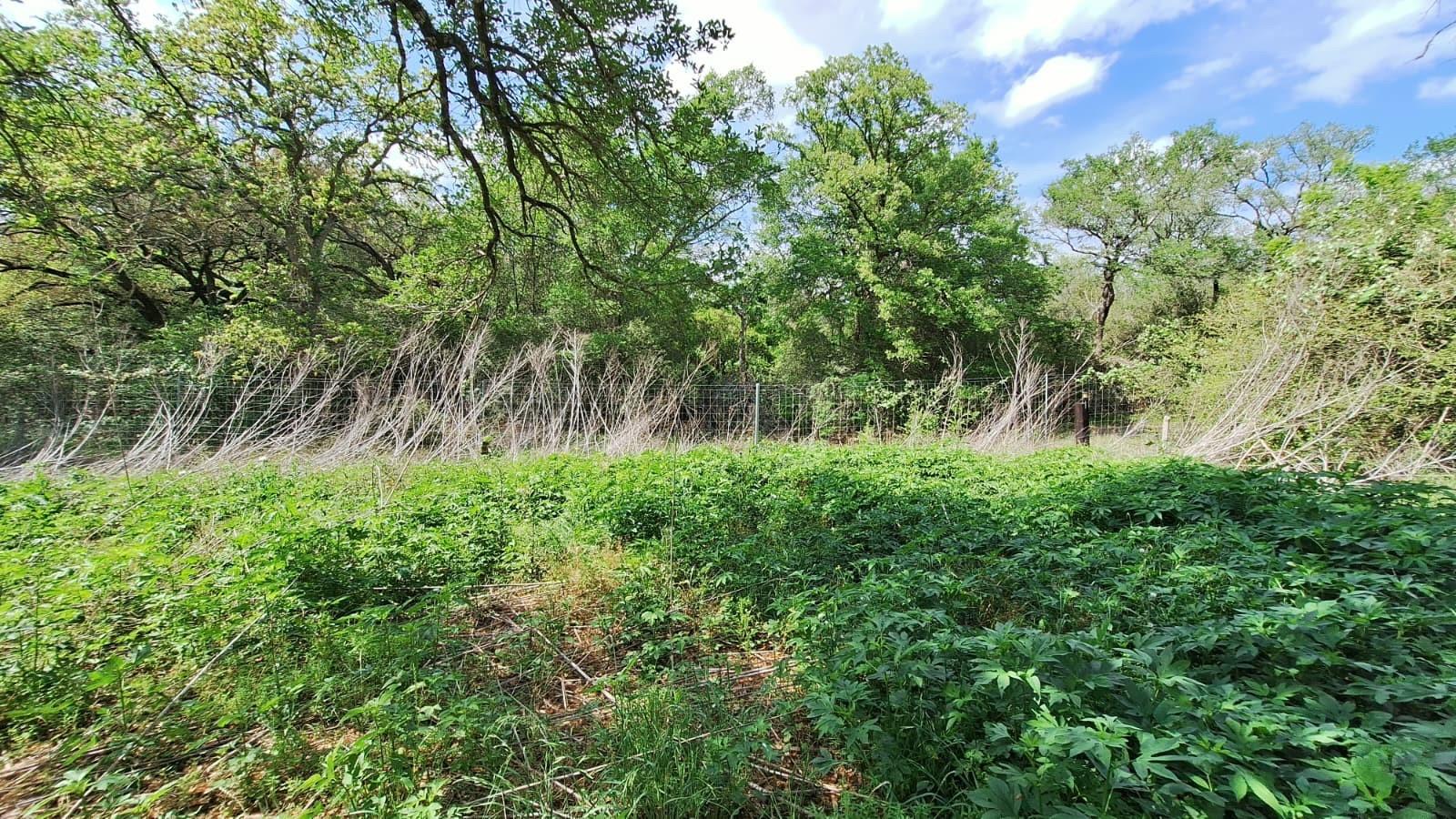 Land in Snook 2