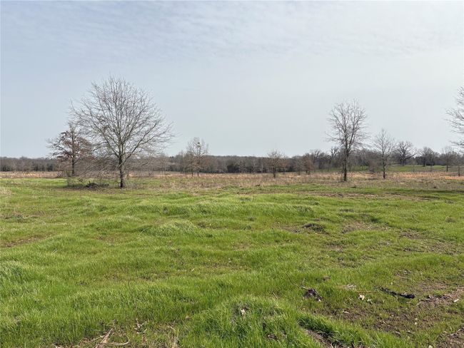 TRACT-3 - TBD County Road 2425, Home with 0 bedrooms, 0 bathrooms and null parking in Como TX | Image 16