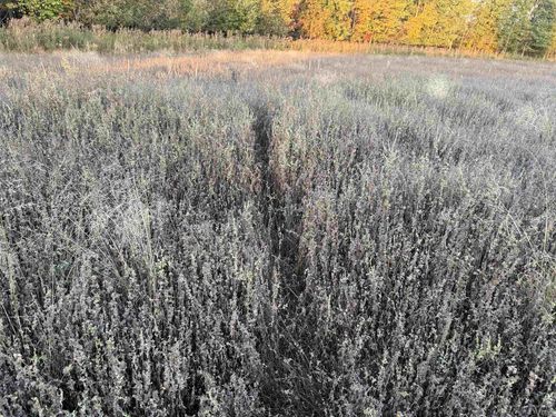 Lot 3 Eau Claire River Road, Easton, WI, 54408 | Card Image