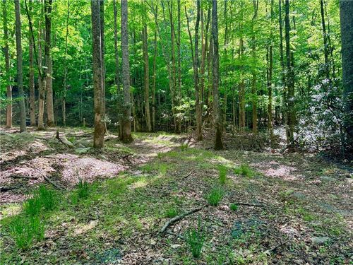 Lot 5A Buckeye Ridge Rd, Banner Elk, NC, 28604 | Card Image
