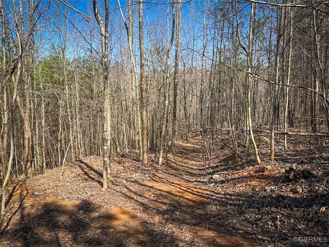 30.19 Acres (Off Of) Belvedere Dr, Home with 0 bedrooms, 0 bathrooms and null parking in Fieldale VA | Image 17