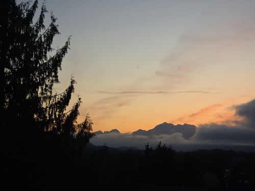 2939 Keets Dr, Coquitlam, BC, V3C4S6 | Card Image