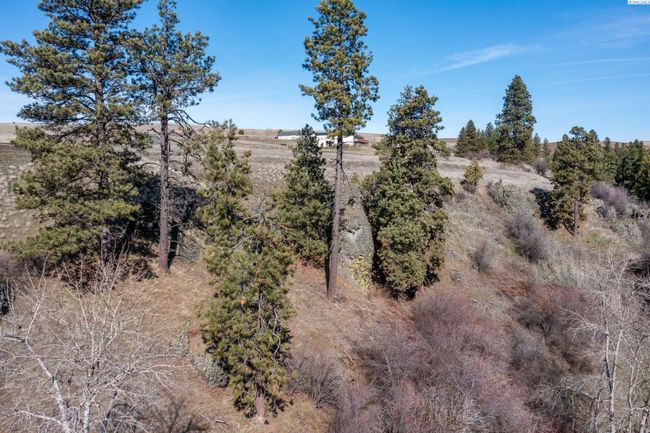 6E Red Tail Ridge Rd, Home with 0 bedrooms, 0 bathrooms and null parking in Colfax WA | Image 14
