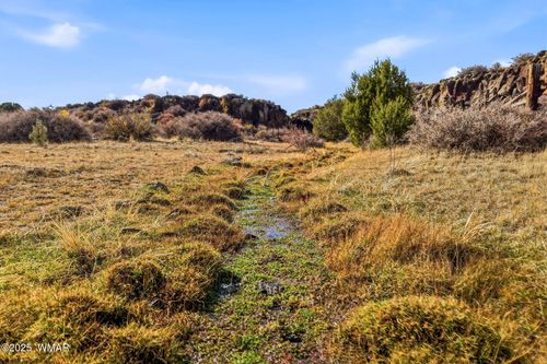 00 Tbd, Greer, AZ, 85927 | Card Image