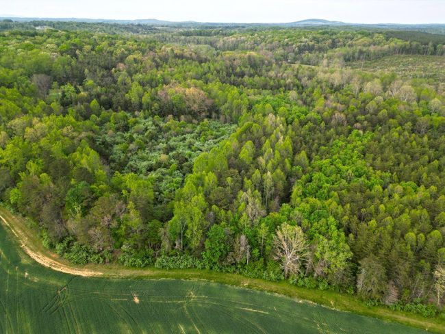 DJI_0590 | Image 5
