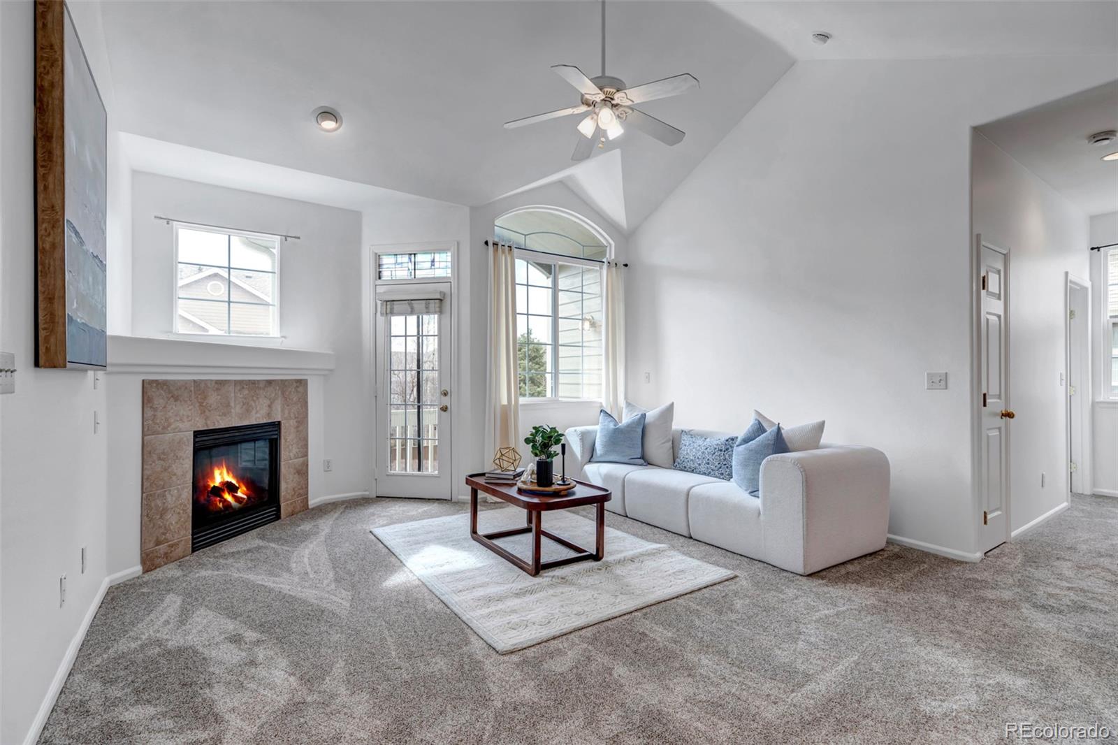 Residential in Highlands Ranch 4