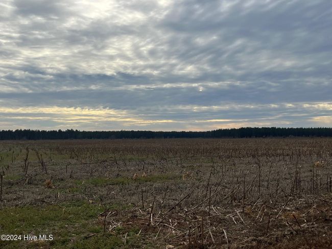 55618 Nc 210 Hwy, Home with 0 bedrooms, 0 bathrooms and null parking in Currie NC | Image 52