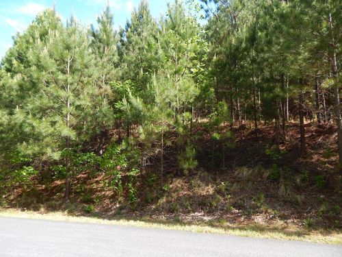 #361 Cove Ln, Blairsville, GA, 30512-1692 | Card Image