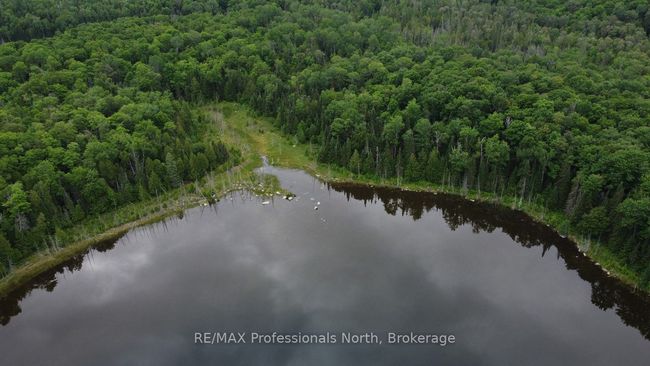 0 Harburn Rd, Home with 0 bedrooms, 0 bathrooms and null parking in Haliburton ON | Image 12
