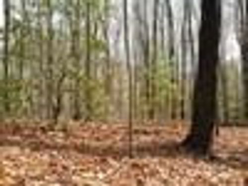 Lot 25 Laurel Mountain Dr, Brasstown, NC, 28902 | Card Image