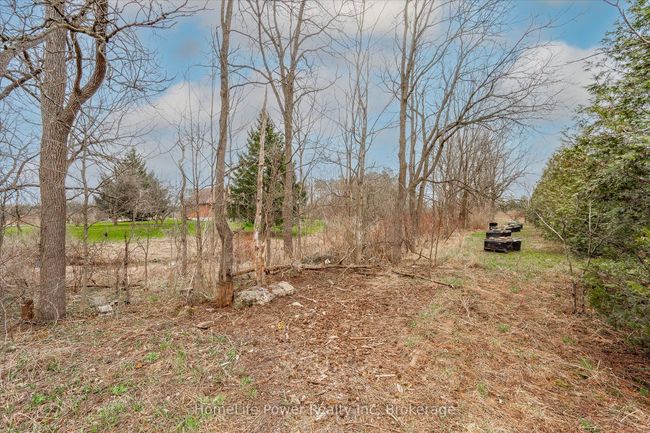 4080 Victoria Rd S, House other with 5 bedrooms, 2 bathrooms and 8 parking in Puslinch ON | Image 38