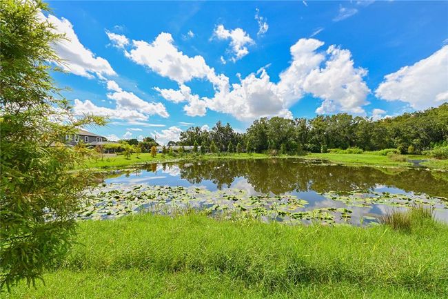 4808 Jackson Club Loop, House other with 4 bedrooms, 4 bathrooms and null parking in TAMPA FL | Image 38