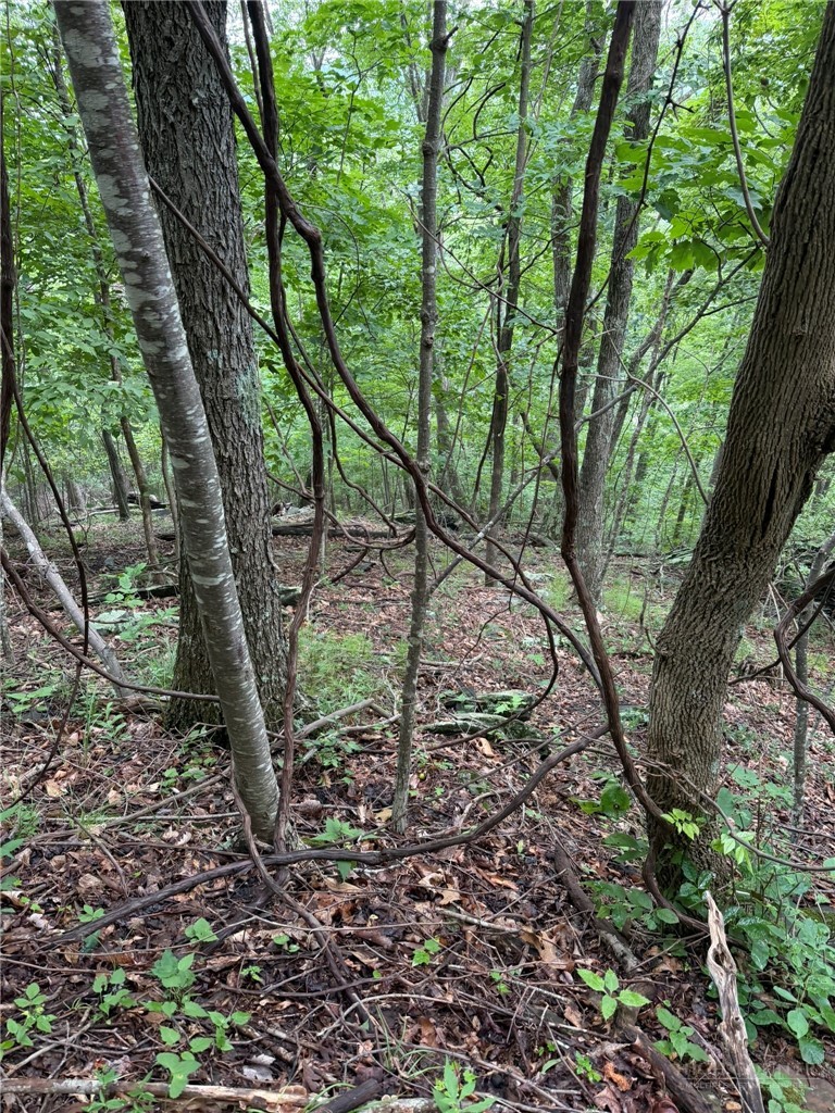Land in Jefferson 4