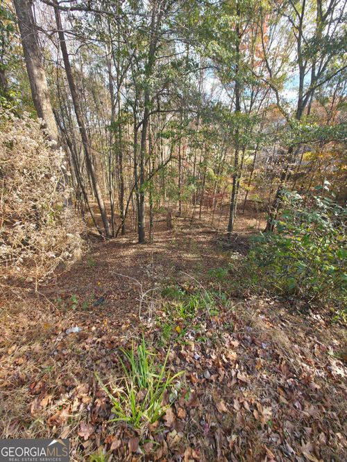 2412 Snowshoe Bnd, Bethlehem, GA, 30620-7609 | Card Image