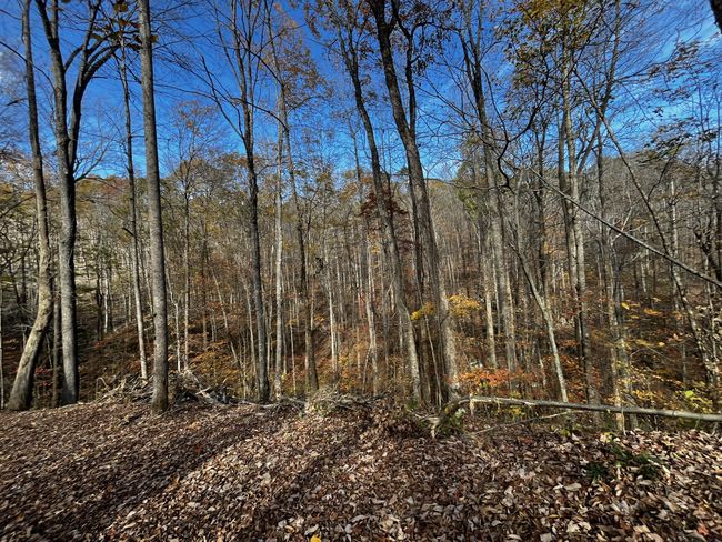 0 Northcutts Cove Rd, Home with 0 bedrooms, 0 bathrooms and null parking in Beersheba Springs TN | Image 24